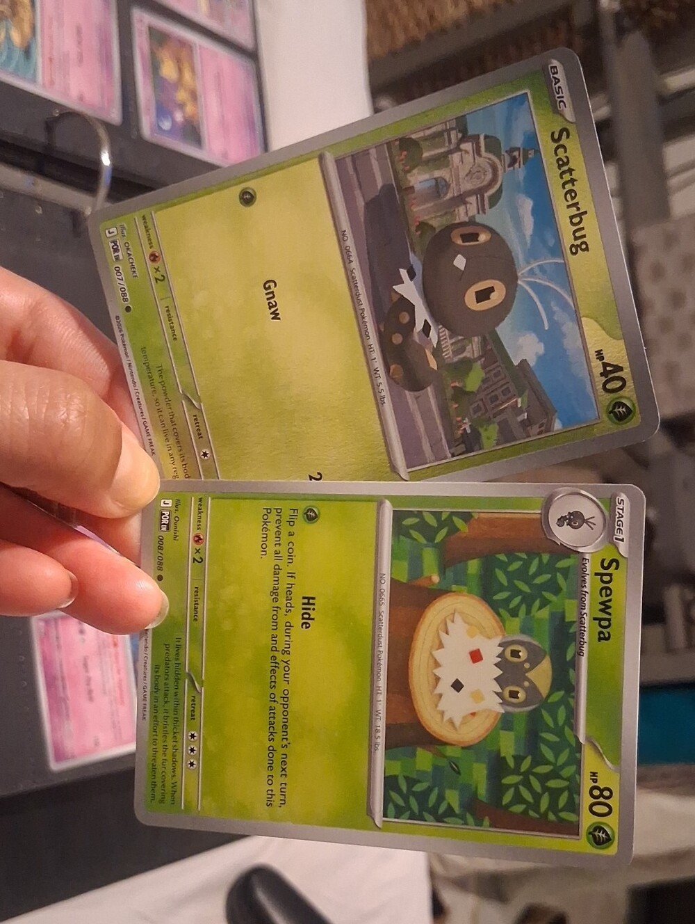 Pokemon Scatterbug & Spewpa Trading Cards - Green